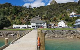 The Marlin Of Whangaroa